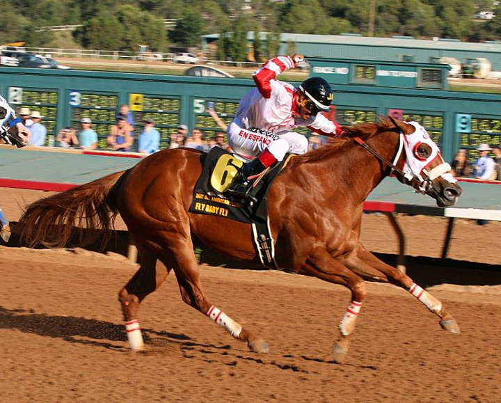 All American Futurity